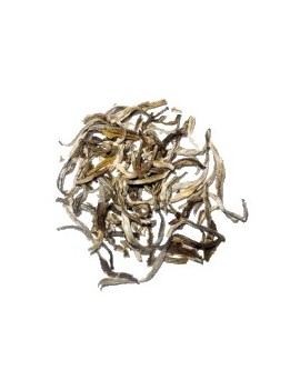 YIN ZHEN Aiguille d'argent - Paquet de 100g la brûlerie le Puy en Velay YIN ZHEN Aiguille d'argent - Paquet de 100g la brûlerie le Puy en Velay