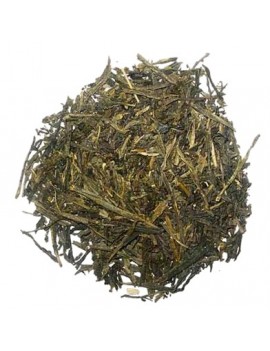 SENCHA FUKUYU - Paquet de 100g la brûlerie le Puy en Velay