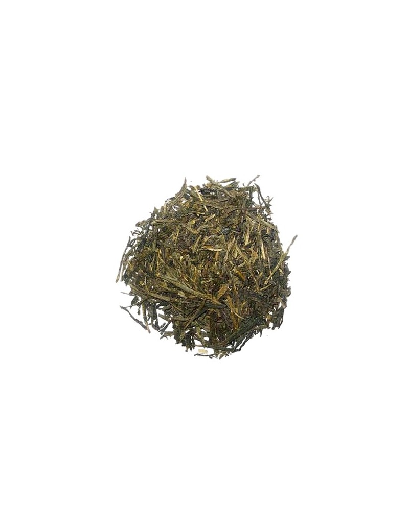 SENCHA FUKUYU - Paquet de 100g la brûlerie le Puy en Velay