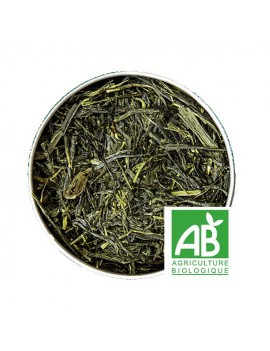 SENCHA COREE Bio - Paquet de 100g la brûlerie le Puy en Velay