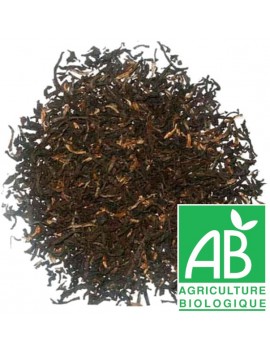 ASSAM jungle - Paquet de 100g la brûlerie le Puy en Velay