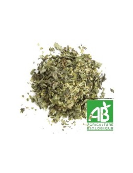 MATE VERT Menthe BIO - Paquet de 100g